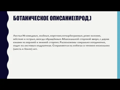 БОТАНИЧЕСКОЕ ОПИСАНИЕ(ПРОД.) Листья Игловидные, зелёные, короткие,четырёхгранные, реже плоские, жёсткие и