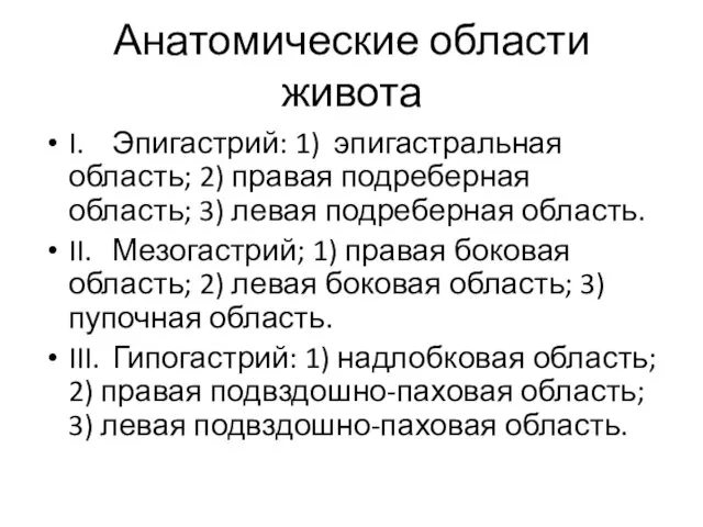 Анатомические области живота I. Эпигастрий: 1) эпигастральная область; 2) правая