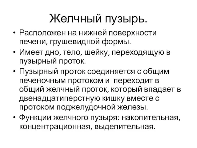 Желчный пузырь. Расположен на нижней поверхности печени, грушевидной формы. Имеет