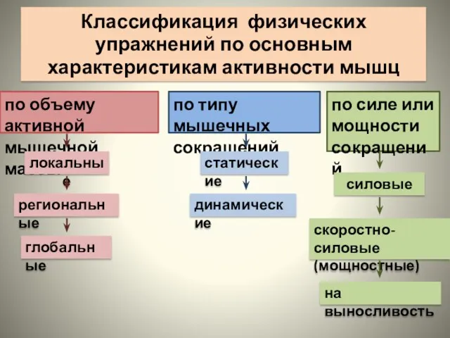 Классификация физических упражнений по основным характеристикам активности мышц по объему