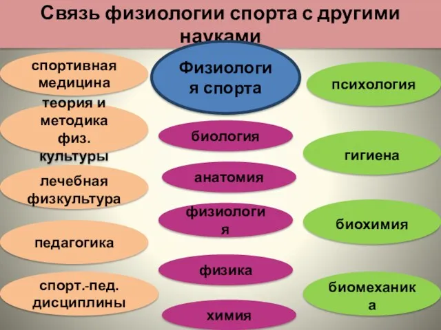 Связь физиологии спорта с другими науками Физиология спорта теория и