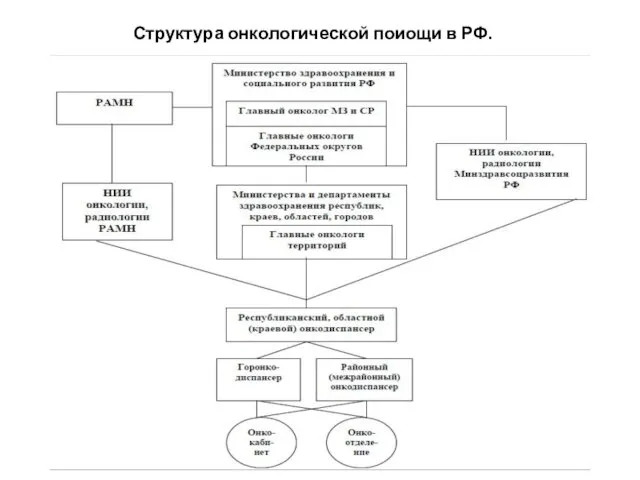 Структура онкологической поиощи в РФ.