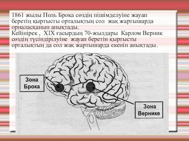 1861 жылы Поль Брока сөздің пішімделуіне жауап беретің қыртысты орталықтың