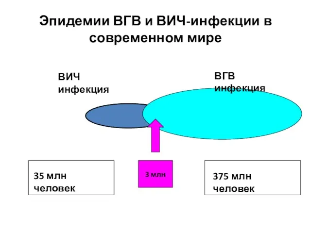 Эпидемии ВГВ и ВИЧ-инфекции в современном мире ВИЧ инфекция 3