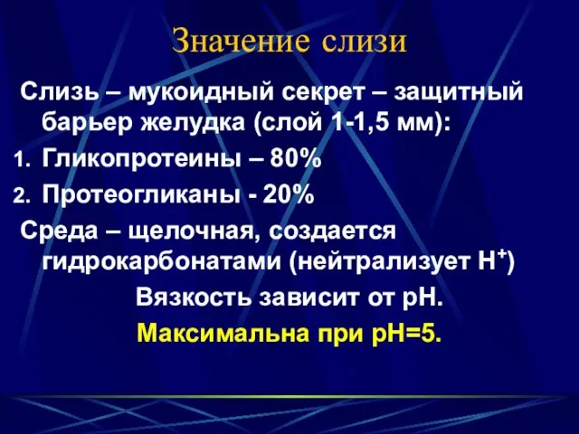 Значение слизи Слизь – мукоидный секрет – защитный барьер желудка (слой 1-1,5 мм):