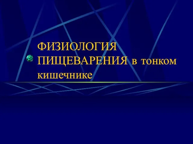 ФИЗИОЛОГИЯ ПИЩЕВАРЕНИЯ в тонком кишечнике