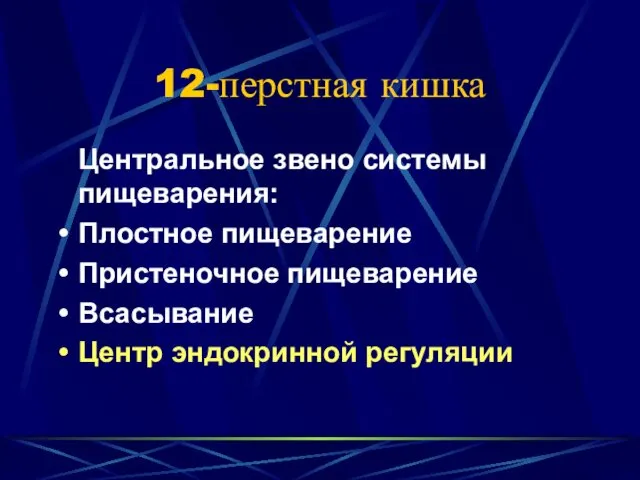 12-перстная кишка Центральное звено системы пищеварения: Плостное пищеварение Пристеночное пищеварение Всасывание Центр эндокринной регуляции