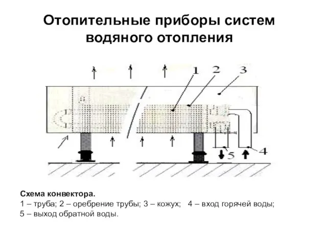 Отопительные приборы систем водяного отопления Схема конвектора. 1 – труба;