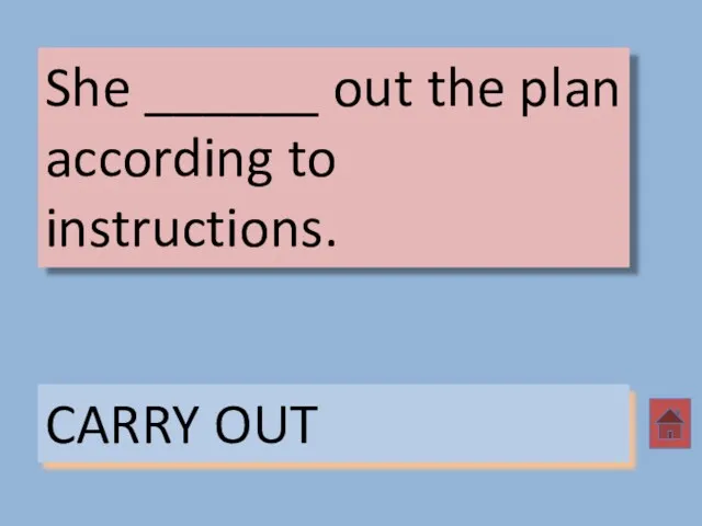 She ______ out the plan according to instructions. CARRY OUT