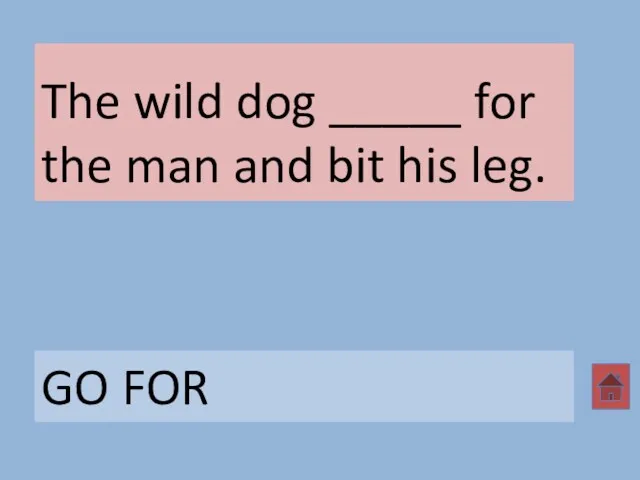 The wild dog _____ for the man and bit his leg. GO FOR