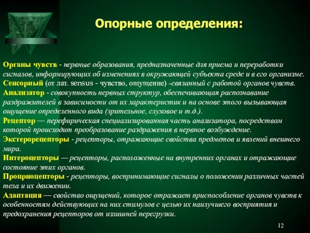 Органы чувств - нервные образования, предназначенные для приема и переработки