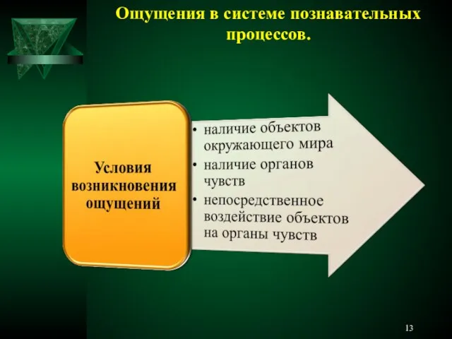 Ощущения в системе познавательных процессов.