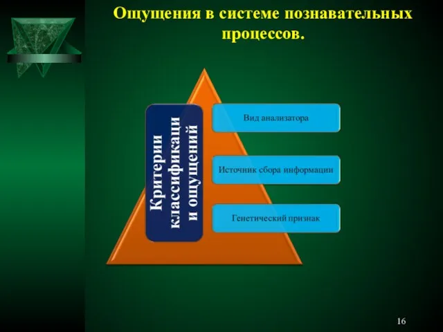 Ощущения в системе познавательных процессов.