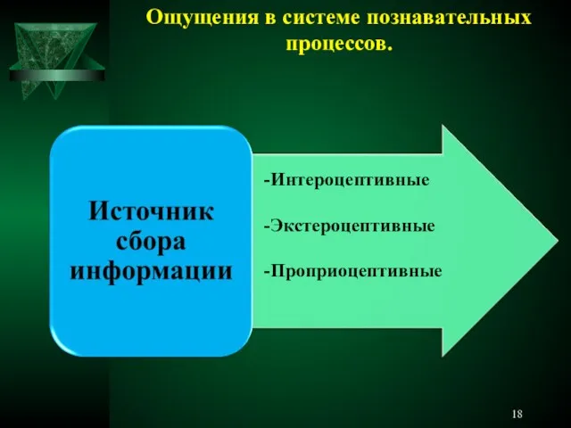 Ощущения в системе познавательных процессов. -Интероцептивные -Экстероцептивные -Проприоцептивные