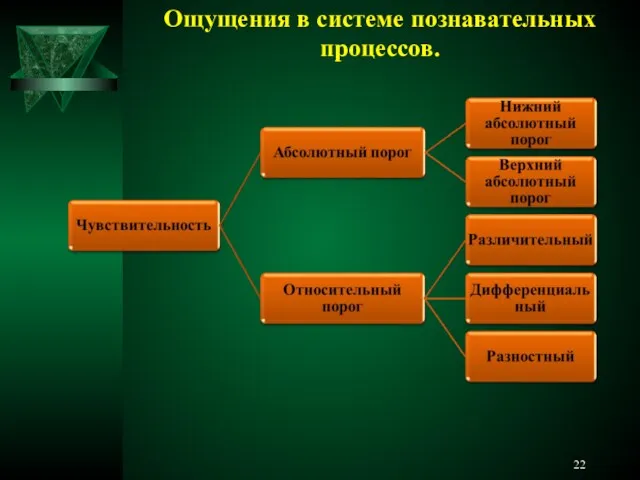 Ощущения в системе познавательных процессов.