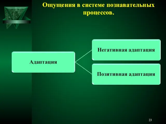 Ощущения в системе познавательных процессов.