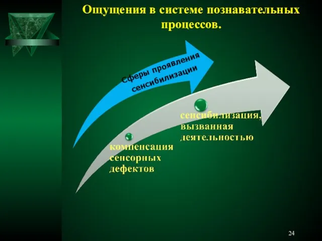 Ощущения в системе познавательных процессов. Сферы проявления сенсибилизации