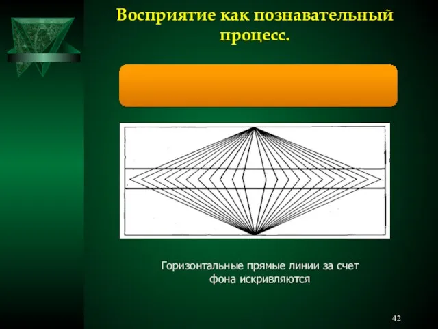 Восприятие как познавательный процесс. Горизонтальные прямые линии за счет фона искривляются