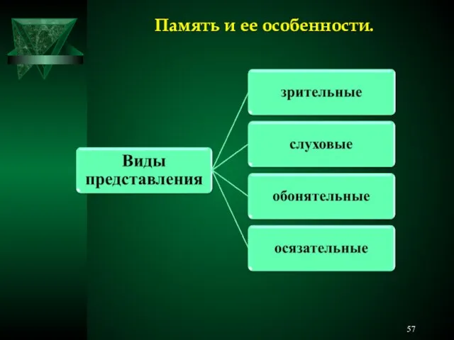 Память и ее особенности.