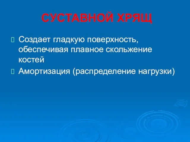 СУСТАВНОЙ ХРЯЩ Создает гладкую поверхность, обеспечивая плавное скольжение костей Амортизация (распределение нагрузки)