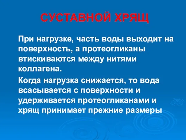 СУСТАВНОЙ ХРЯЩ При нагрузке, часть воды выходит на поверхность, а