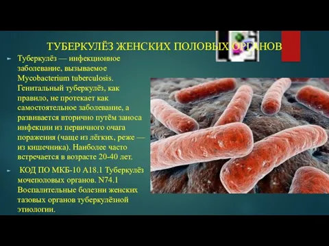 ТУБЕРКУЛЁЗ ЖЕНСКИХ ПОЛОВЫХ ОРГАНОВ Туберкулёз — инфекционное заболевание, вызываемое Mycobacterium