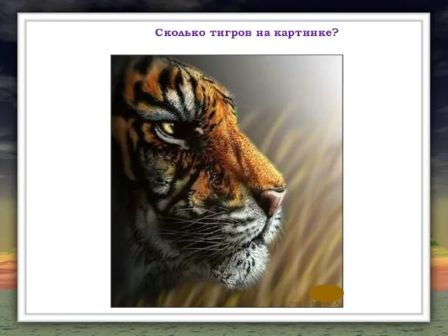 Сколько тигров на картинке?