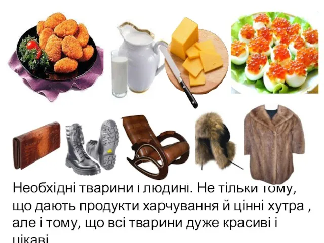 Необхідні тварини і людині. Не тільки тому, що дають продукти