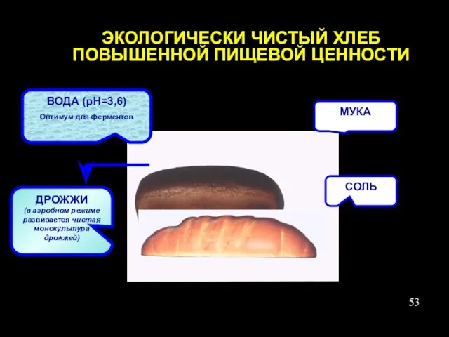 ДРОЖЖИ (в аэробном режиме развивается чистая монокультура дрожжей) Технологии “L-Tech«