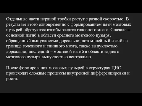 Отдельные части нервной трубки растут с разной скоростью. В результате этого одновременно с