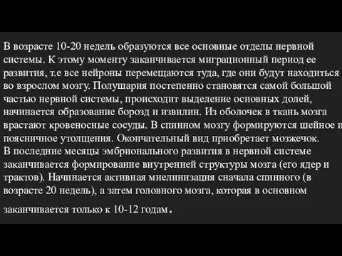 В возрасте 10-20 недель образуются все основные отделы нервной системы. К этому моменту