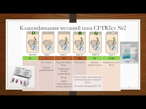 Классификация мутаций гена CFTR2ст №2