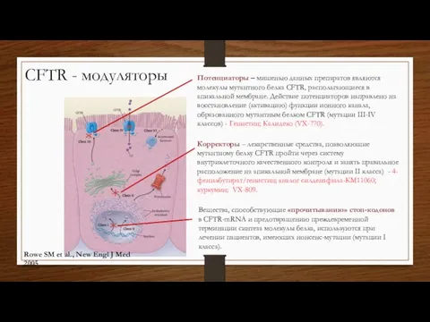 Rowe SM et al., New Engl J Med 2005 Потенциаторы