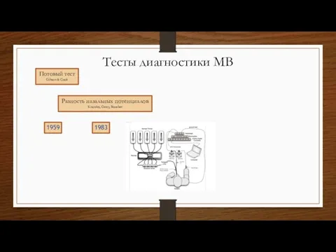 1959 1983 Разность назальных потенциалов Knowles, Gatzy, Boucher Тесты диагностики МВ Потовый тест Gibson & Cook