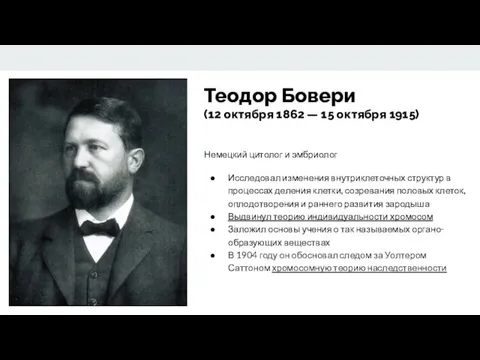 Теодор Бовери (12 октября 1862 — 15 октября 1915) Немецкий