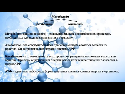 Метаболизм (обмен веществ) – совокупность всех биохимических процессов, необходимых для