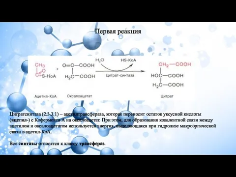 Первая реакция Цитратсинтаза (2.3.3.1) – ацетилтрансфераза, которая переносит остаток уксусной