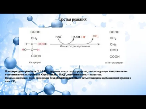 Третья реакция Изоцитратдегидрогеназа (1.1.1.41) – фермент класса оксидоредуктаз, катализирующих окислительно-восстановительные