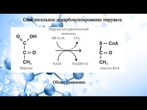 Окислительное декарбоксилирование пирувата NAD+ NADH+H+ HS-CoA CO2 Пируват Ацетил-КоА Пируватдегидрогеназный комплекс Общее уравнение