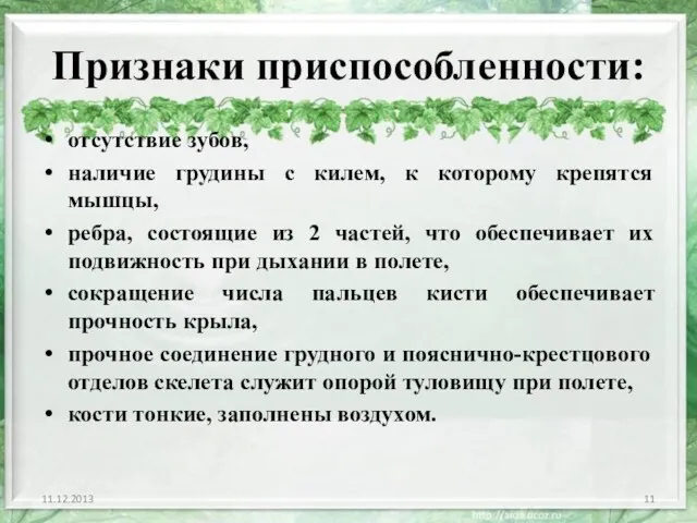 Признаки приспособленности: отсутствие зубов, наличие грудины с килем, к которому