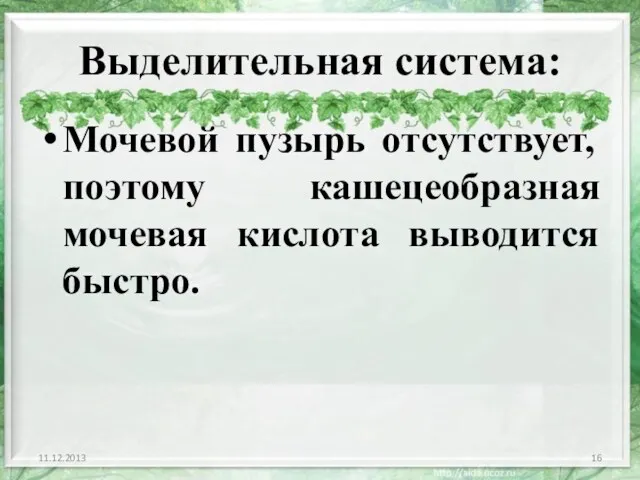 Выделительная система: Мочевой пузырь отсутствует, поэтому кашецеобразная мочевая кислота выводится быстро. 11.12.2013