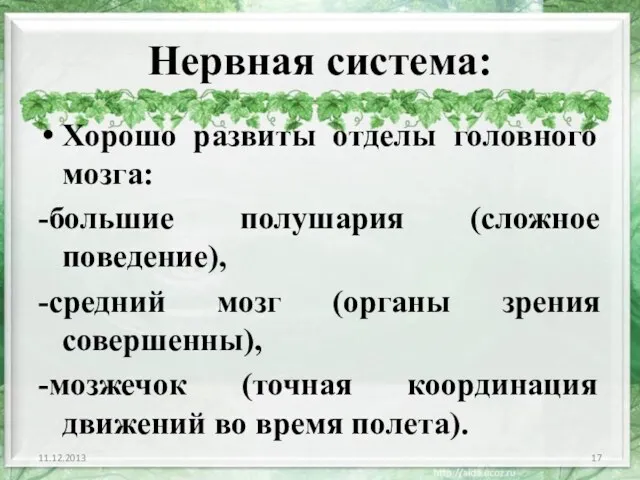 Нервная система: Хорошо развиты отделы головного мозга: -большие полушария (сложное