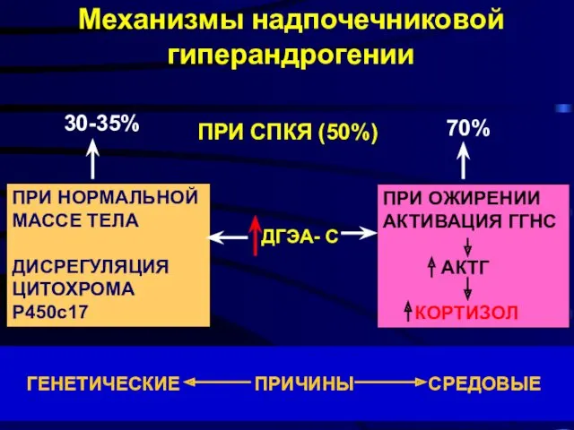 30-35% 70% ДГЭА- С ПРИ ОЖИРЕНИИ АКТИВАЦИЯ ГГНС АКТГ КОРТИЗОЛ ПРИ НОРМАЛЬНОЙ МАССЕ