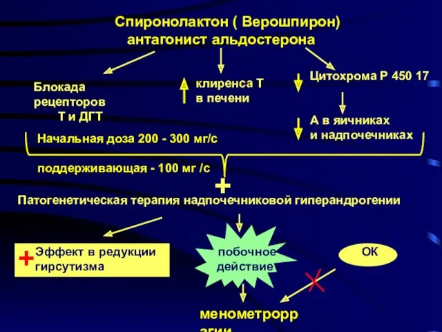 Спиронолактон ( Верошпирон) антагонист альдостерона Блокада рецепторов Т и ДГТ