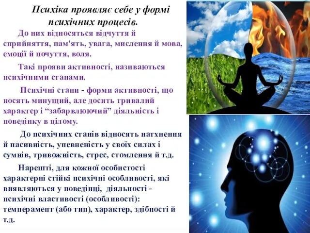 Психіка проявляє себе у формі психічних процесів. До них відносяться