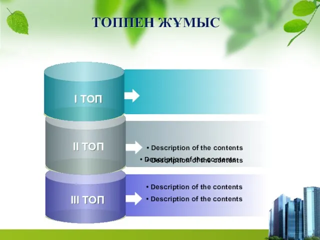 ТОППЕН ЖҰМЫС Description of the contents Description of the contents