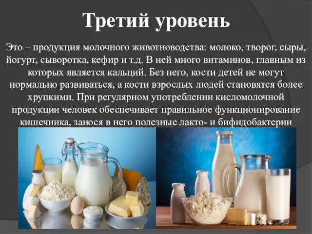 Третий уровень Это – продукция молочного животноводства: молоко, творог, сыры,