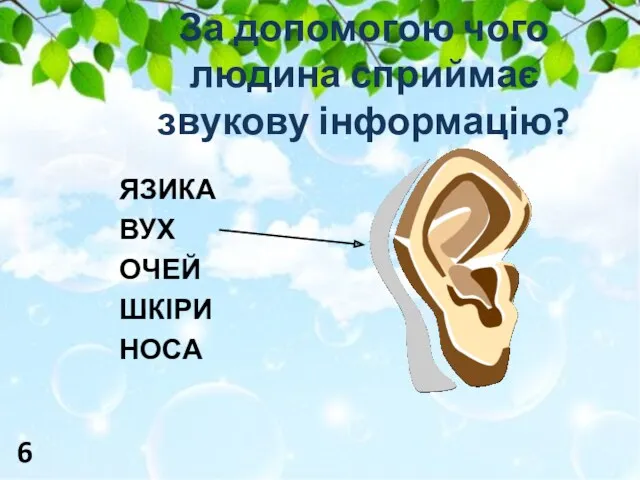 За допомогою чого людина сприймає звукову інформацію? ЯЗИКА ВУХ ОЧЕЙ ШКІРИ НОСА 6