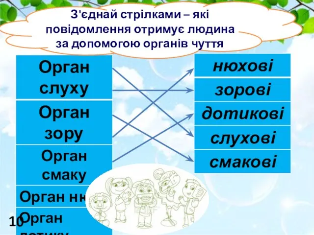 З'єднай стрілками – які повідомлення отримує людина за допомогою органів чуття 10