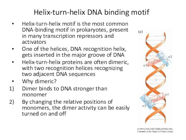 Helix-turn-helix DNA binding motif Helix-turn-helix motif is the most common